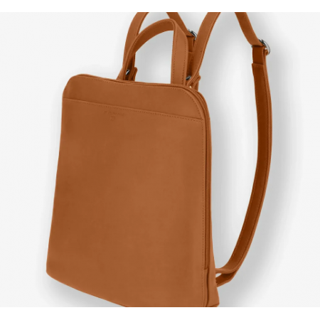 Sac à dos lionne des...